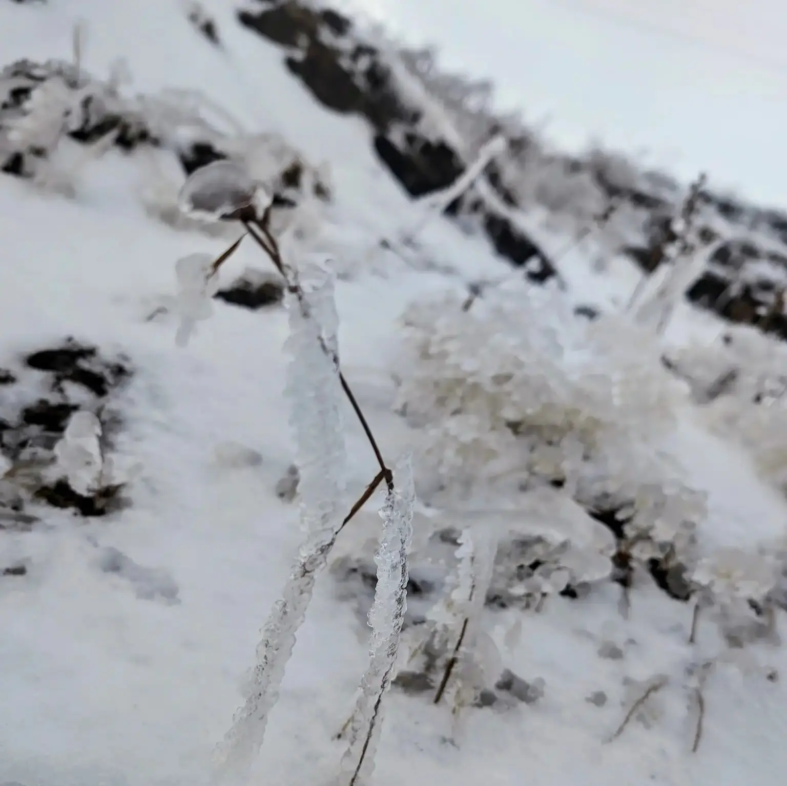 Sikkim through my lens